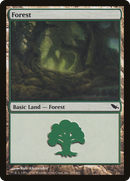Forest (SHM-299) [Shadowmoor]