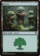 Forest (DMU-274) [Dominaria United] Foil