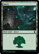 Forest (CLU-273) [Ravnica: Clue Edition]