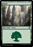 Forest (CLU-270) [Ravnica: Clue Edition]