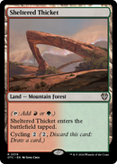 Sheltered Thicket (OTC-319) [Outlaws of Thunder Junction Commander]