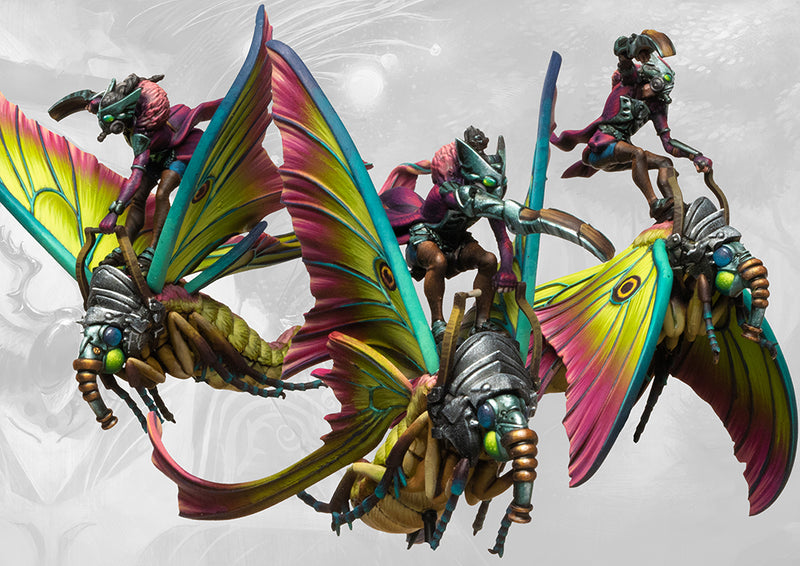 Weaver Courts: Sciathan Riders/Ciannir Riders