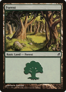 Forest (LRW-300) [Lorwyn] Foil