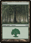 Forest (EVG-030) [Duel Decks: Elves vs. Goblins]