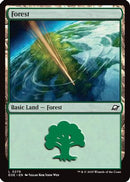 Forest (EOE-276) [Edge of Eternities] Foil