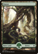 Forest (270) - Full Art (BFZ-270) [Battle for Zendikar]