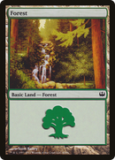 Forest (DDG-043) [Duel Decks: Knights vs. Dragons]