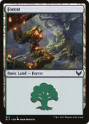 Forest (STX-375) [Strixhaven: School of Mages] Foil