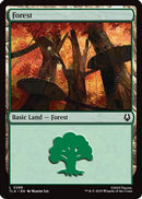 Forest (TLA-286) [Avatar: The Last Airbender]