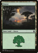 Forest (DTK-264) [Dragons of Tarkir] Foil