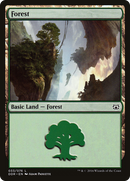 Forest (DDR-033) [Duel Decks: Nissa vs. Ob Nixilis]