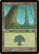 Forest (MMQ-347) [Mercadian Masques] Foil