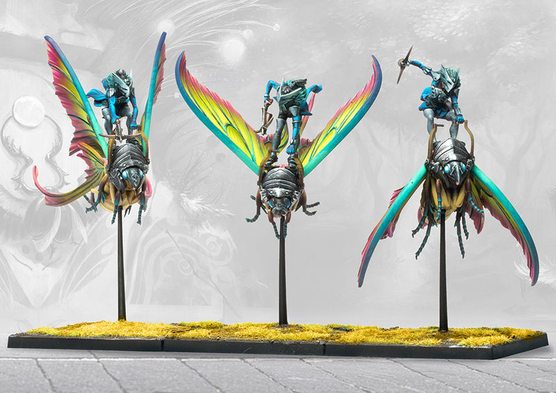 Weaver Courts: Sciathan Riders/Ciannir Riders