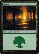 Forest (DDO-064) [Duel Decks: Elspeth vs. Kiora]