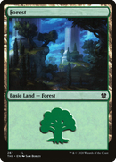 Forest (THB-287) [Theros Beyond Death]