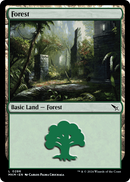 Forest (MKM-286) [Murders at Karlov Manor]