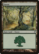 Forest (LRW-298) [Lorwyn] Foil