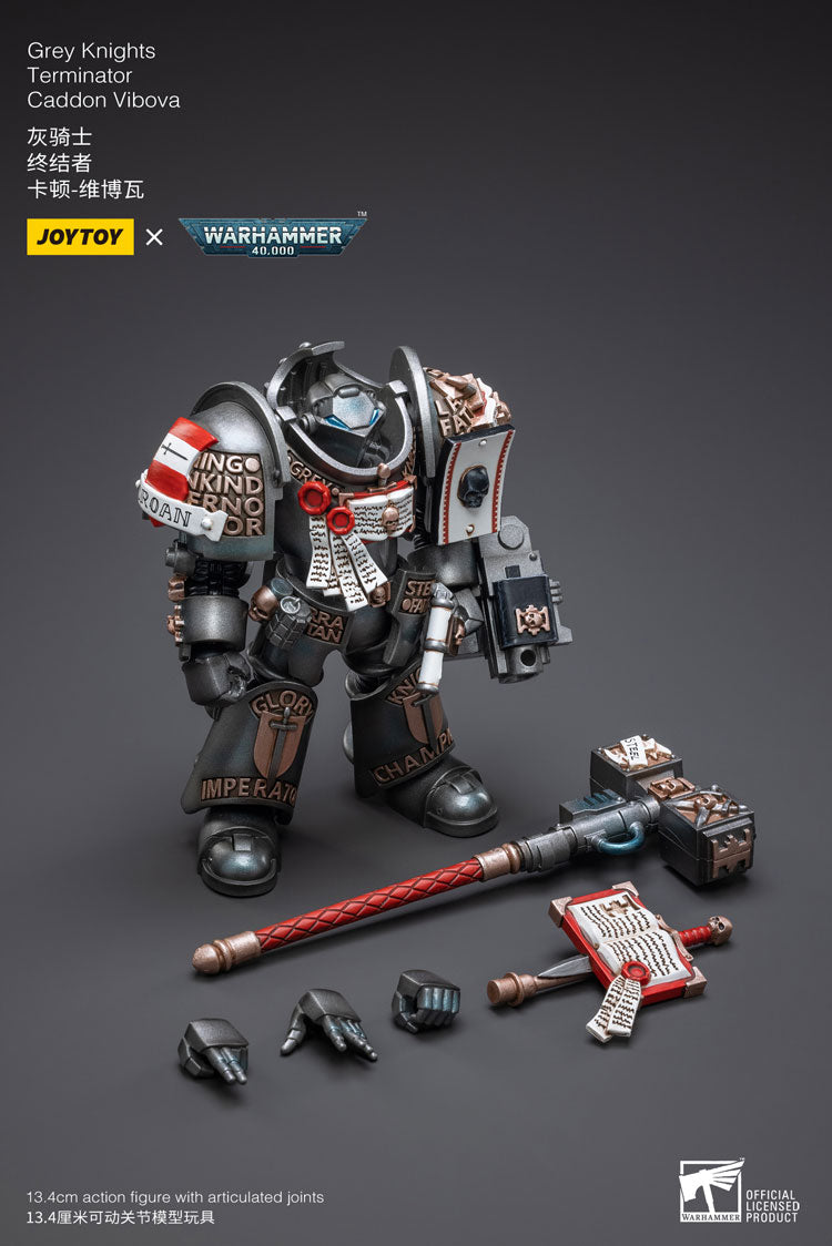 Joytoy: Grey Knights Terminator Caddon Vibova