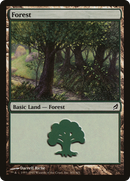 Forest (LRW-301) [Lorwyn] Foil