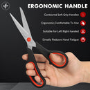 8" Stainless Steel Scissors (1)