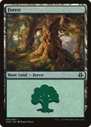 Forest (DDO-065) [Duel Decks: Elspeth vs. Kiora]