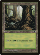 Forest (Pond) (TMP-348) [Tempest]