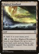 Blighted Woodland (BFZ-233) [Battle for Zendikar] Foil