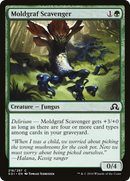 Moldgraf Scavenger (SOI-218) [Shadows over Innistrad] Foil