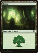 Forest (KHM-398) [Kaldheim] Foil