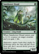 Sunshower Druid (BLB-195) [Bloomburrow] Foil