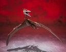 Godzilla: S.H.MonsterArts Rodan [2021] the Second Form