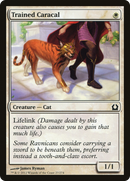 Trained Caracal (RTR-027) [Return to Ravnica]