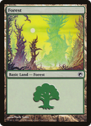 Forest (SOM-248) [Scars of Mirrodin] Foil