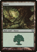 Forest (DPA-113) [Duels of the Planeswalkers]