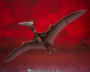 Godzilla: S.H.MonsterArts Rodan [2021] the Second Form