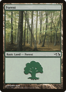 Forest (EVG-029) [Duel Decks: Elves vs. Goblins]