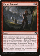 Pack's Betrayal (MID-153) [Innistrad: Midnight Hunt]