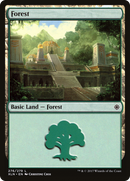 Forest (XLN-276) [Ixalan] Foil