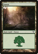 Forest (AVR-242) [Avacyn Restored]