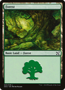 Forest (DDU-033) [Duel Decks: Elves vs. Inventors]