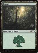 Forest (PPM20-005) [Promo Pack: M20 Promo Packs]