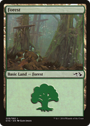 Forest (DD3-028) (Elves vs Goblins) [Duel Decks Anthology: Elves vs. Goblins]