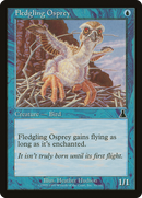 Fledgling Osprey (UDS-033) [Urza's Destiny] Foil