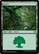 Forest (TDM-286) [Tarkir: Dragonstorm] Foil