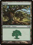 Forest (EVG-031) [Duel Decks: Elves vs. Goblins]