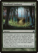 Woodland Guidance (LRW-243) [Lorwyn]