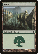 Forest (ROE-246) [Rise of the Eldrazi]