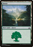 Forest (RIX-196) [Rivals of Ixalan] Foil