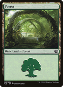 Forest (KLD-262) [Kaladesh] Foil