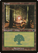 Forest (DMR-410) (Retro Frame) [Dominaria Remastered] Foil